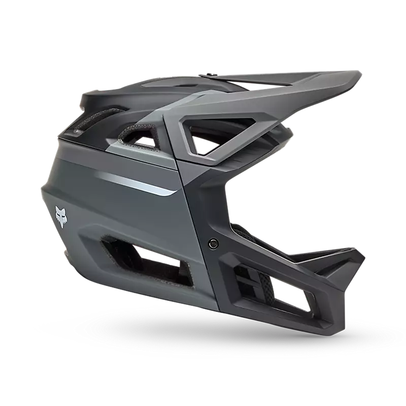Fox Racing Proframe Helmet Rizer CE