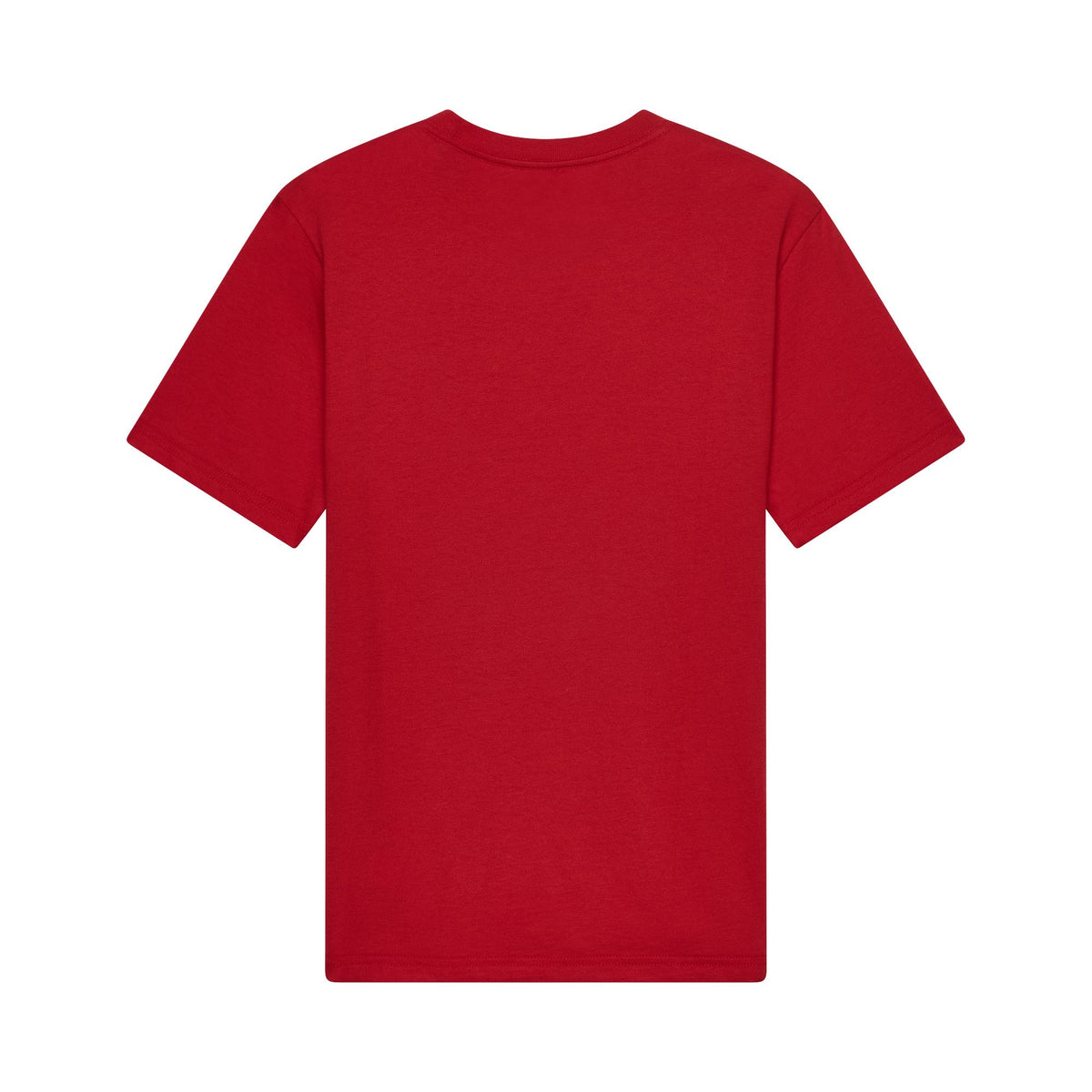 Fox Racing Youth Apex Short Sleeve Tee Tibetan Red