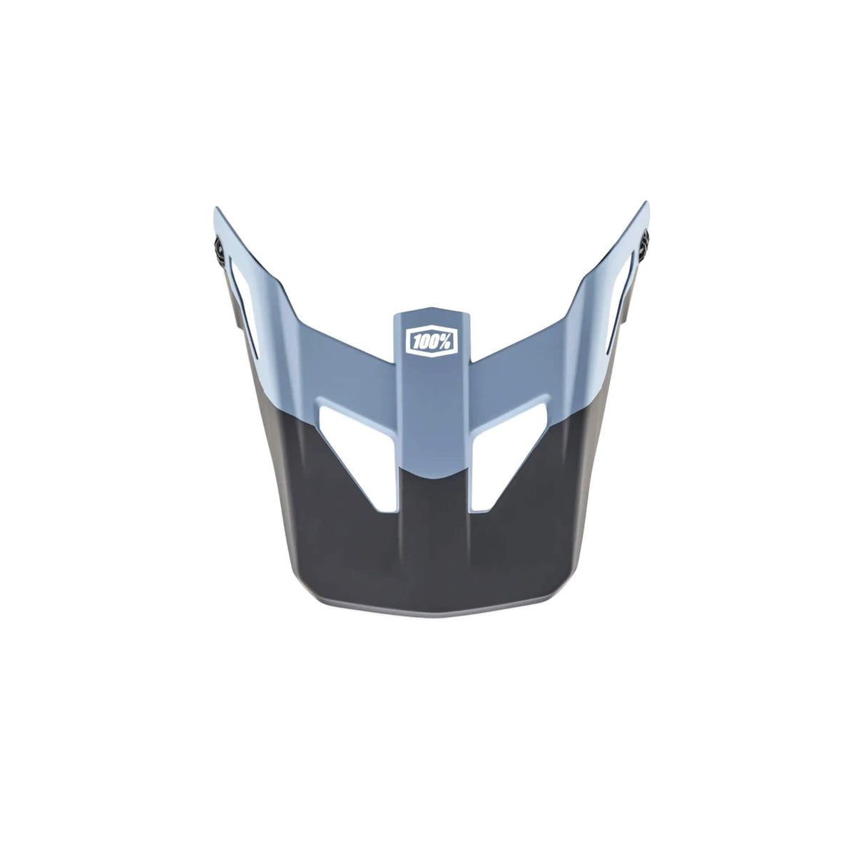 100% Status Youth Replacement Visor