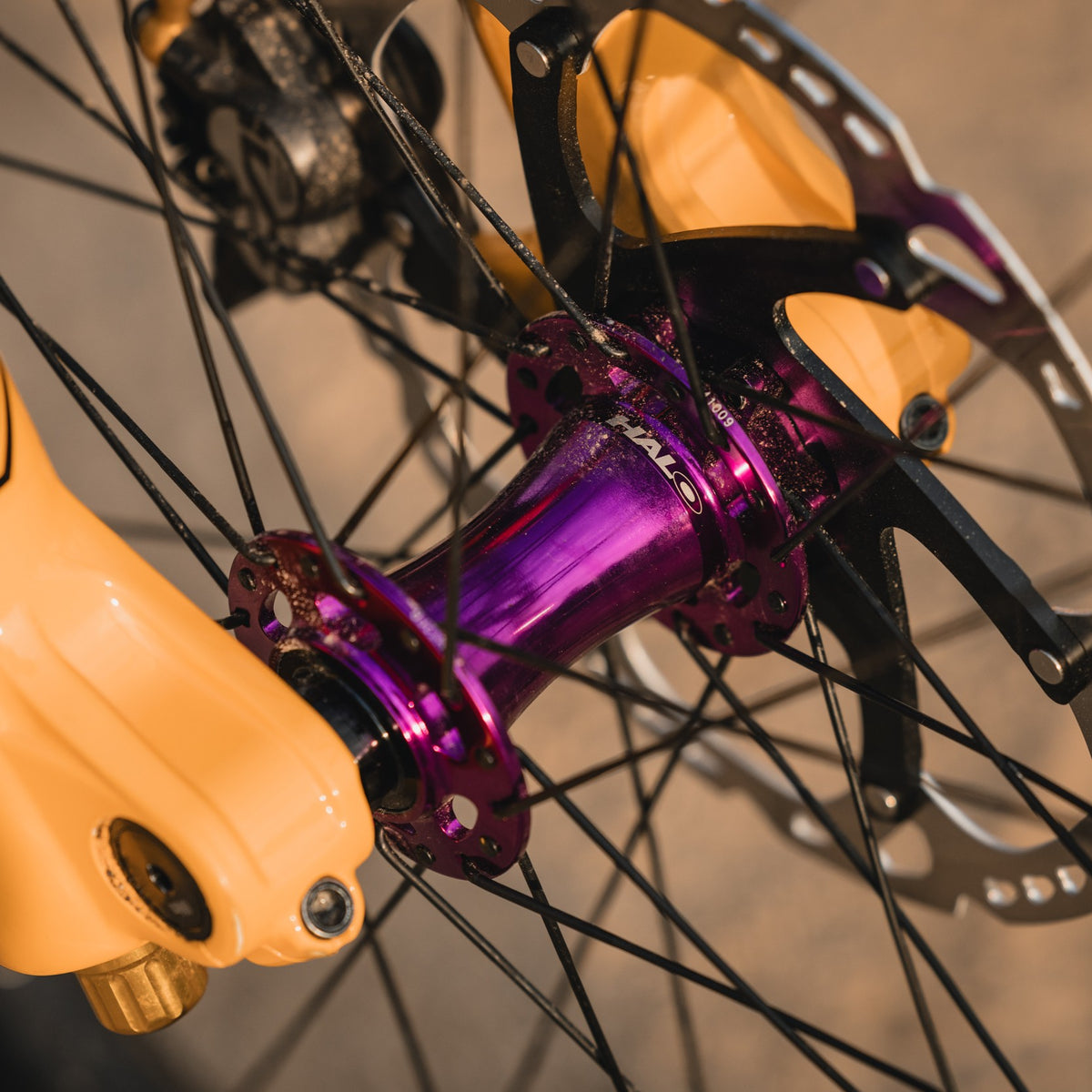 Halo MT Mantradrive 750 Boost SS Limited Edition-naafset paars paars