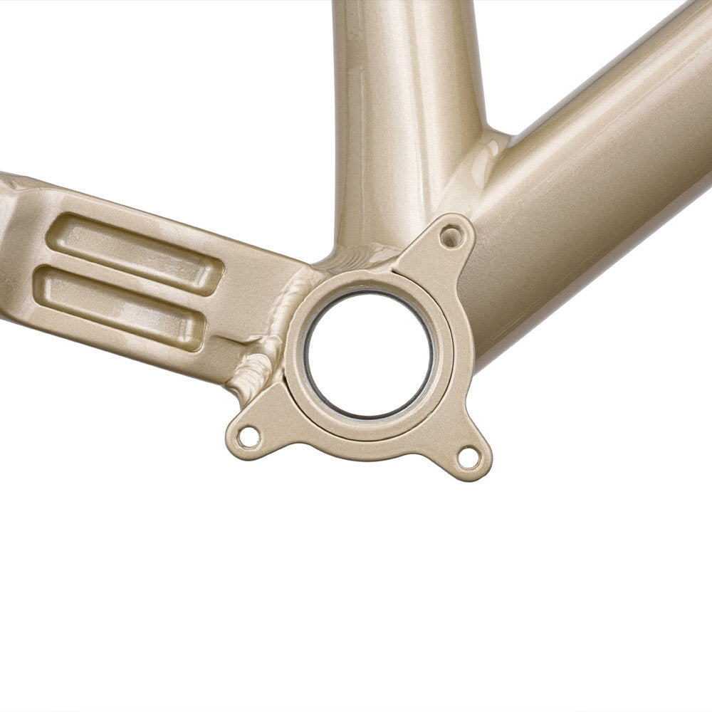 DMR Rhythm Frame Sola Gold Long