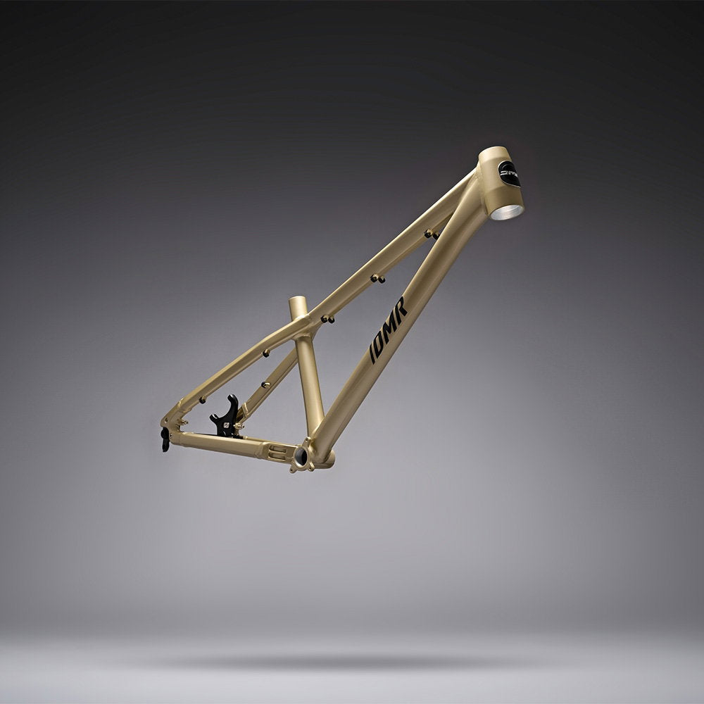 DMR Rhythm Frame Sola Gold Regular