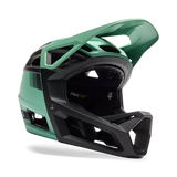 Fox Racing Proframe Helmet RS Sol  CE Pine