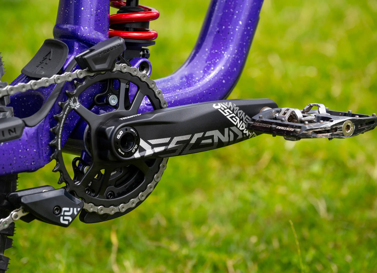 Marin Quake Downhill Mountain Bike Black Purple Red Fade Large