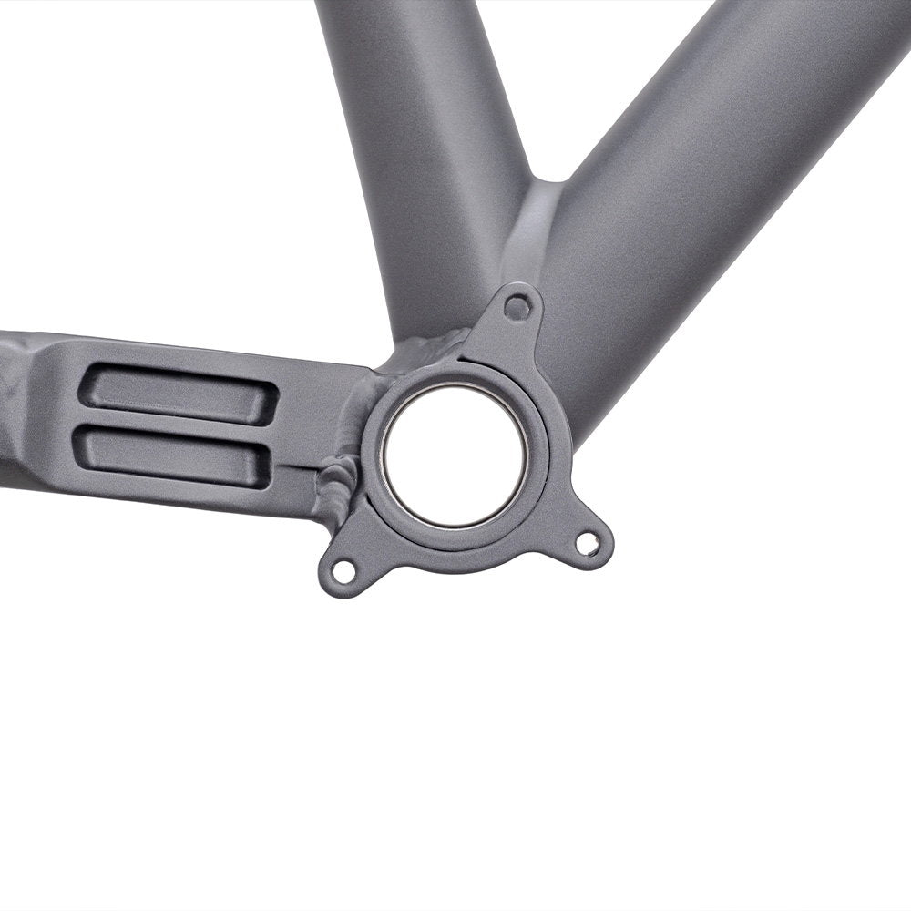 DMR Rhythm Frame  Met Grey  Long