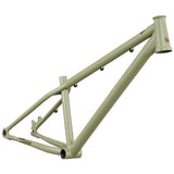 DMR Frame  Sect 24 Custom  Pistachio