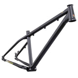 DMR Frame  Sect 26 Custom  Matt Black