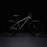DMR - Cuadro - Trailstar Ti - L3