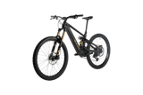 ROGUE R