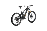 ROGUE R