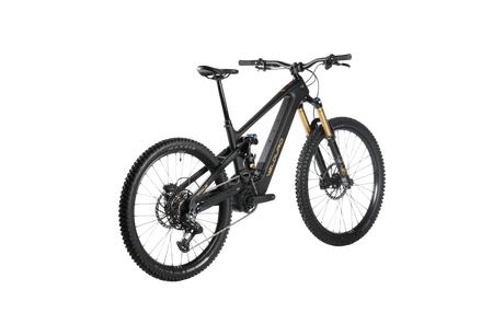 ROGUE R
