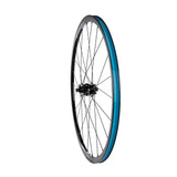 Halo White Line Disc 700c Dyno-Laufrad